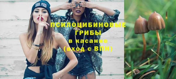 круглые Алексин